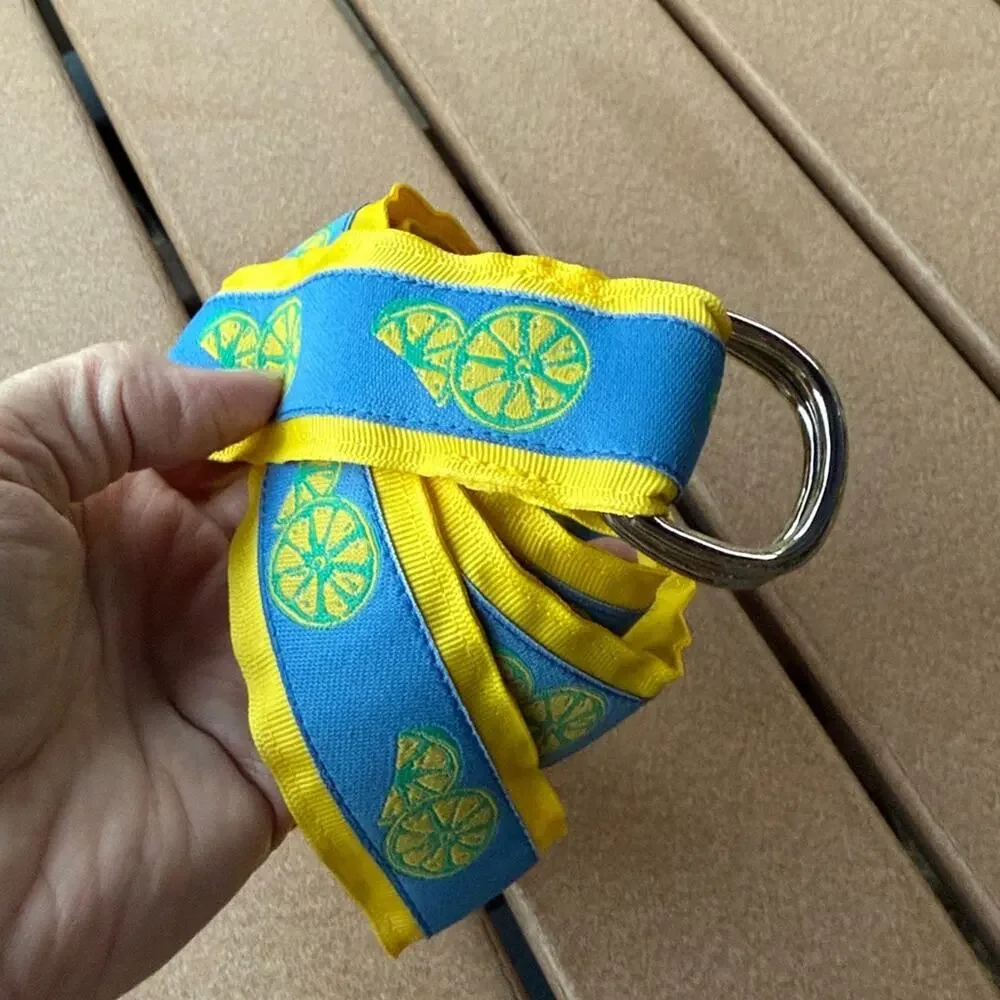 Eliza B Blue and Yellow Lemon Citrus Pattern Ribbon Belt Medium